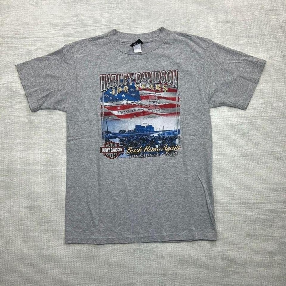 Vintage Harley Davidson Shirt Adult M Gray Biker Motorcycle Milwaukee Wisconsin